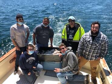 Fantastic Haddock trip