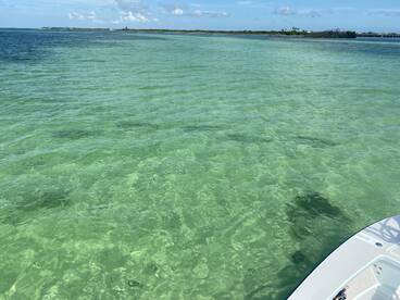 Fly fishing for tarpon on the oceanside