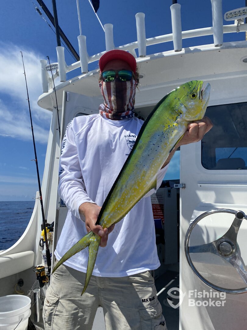 Marathon Report Photo 0