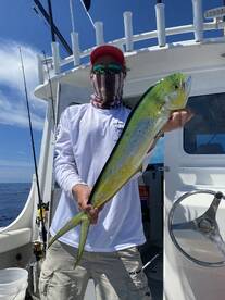 Mahi are here!