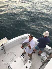 Norfolk Report Photo 2