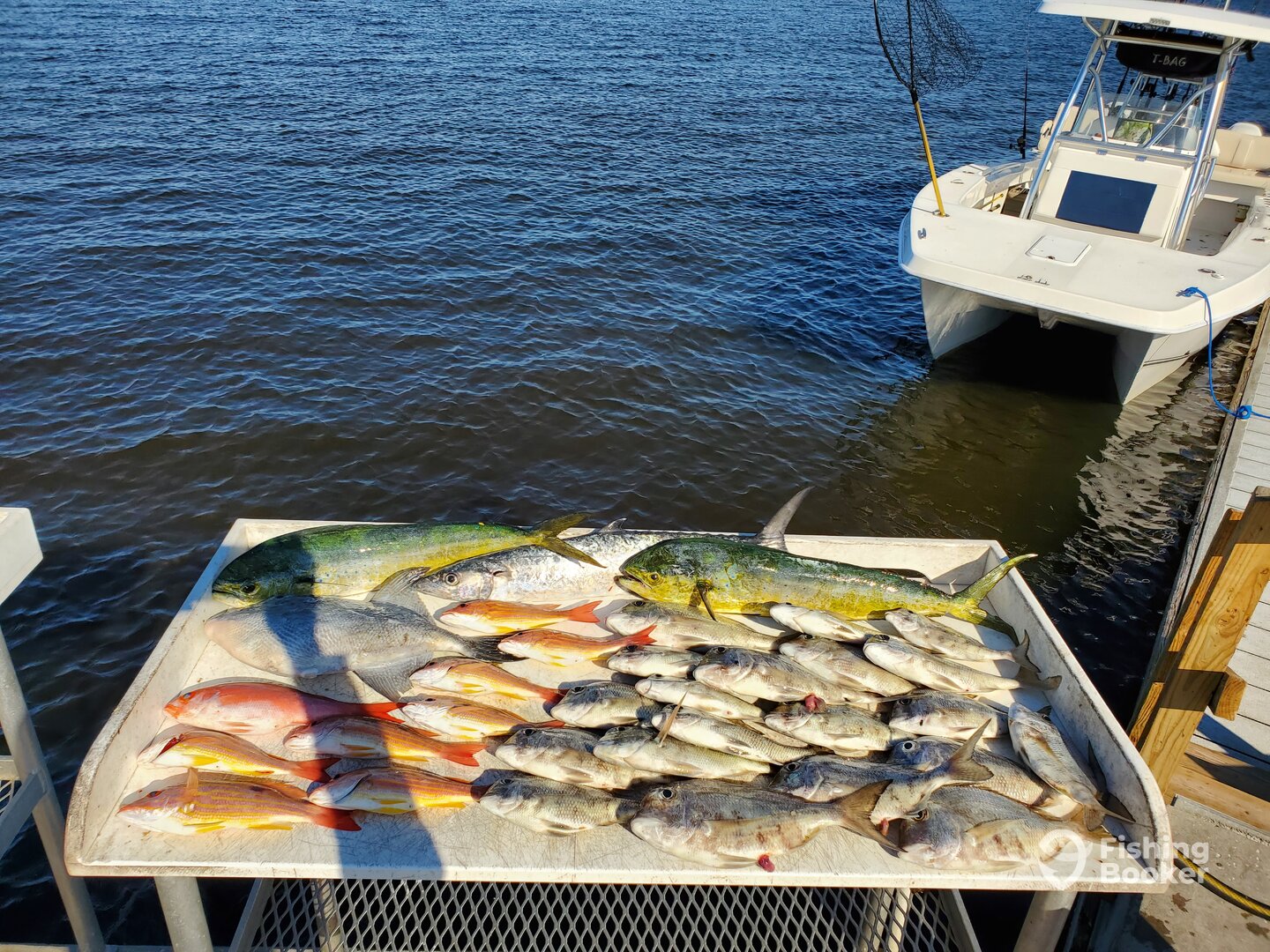 Jensen Beach Report Photo 0