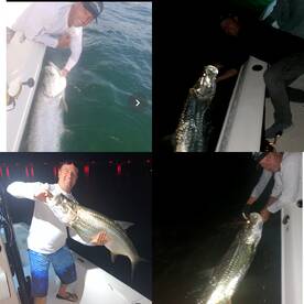 Tarpon New Moon In June