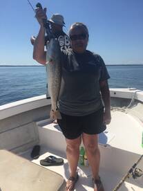 Port St. Joe Report Photo 1