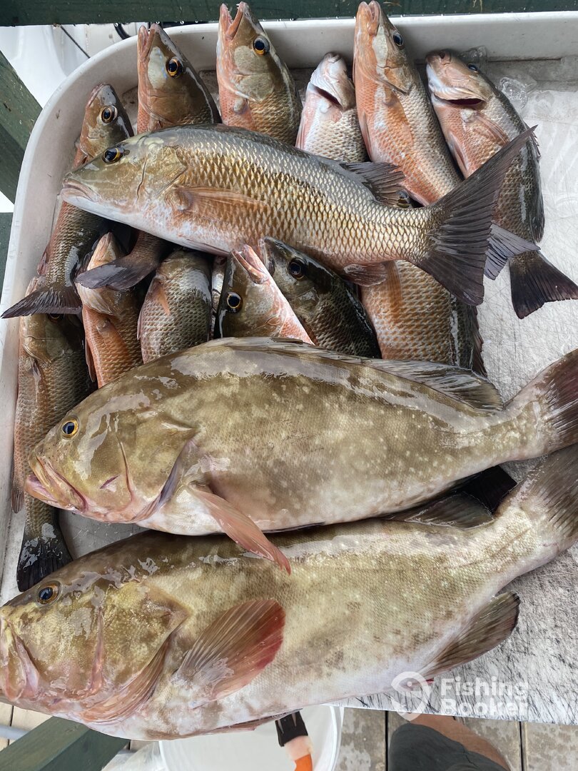 Marathon Report Photo 0