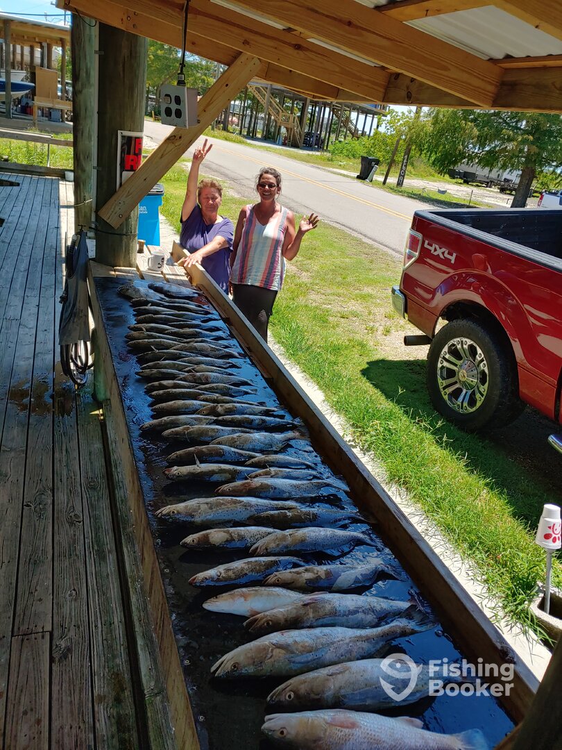 St. Bernard Report Photo 0