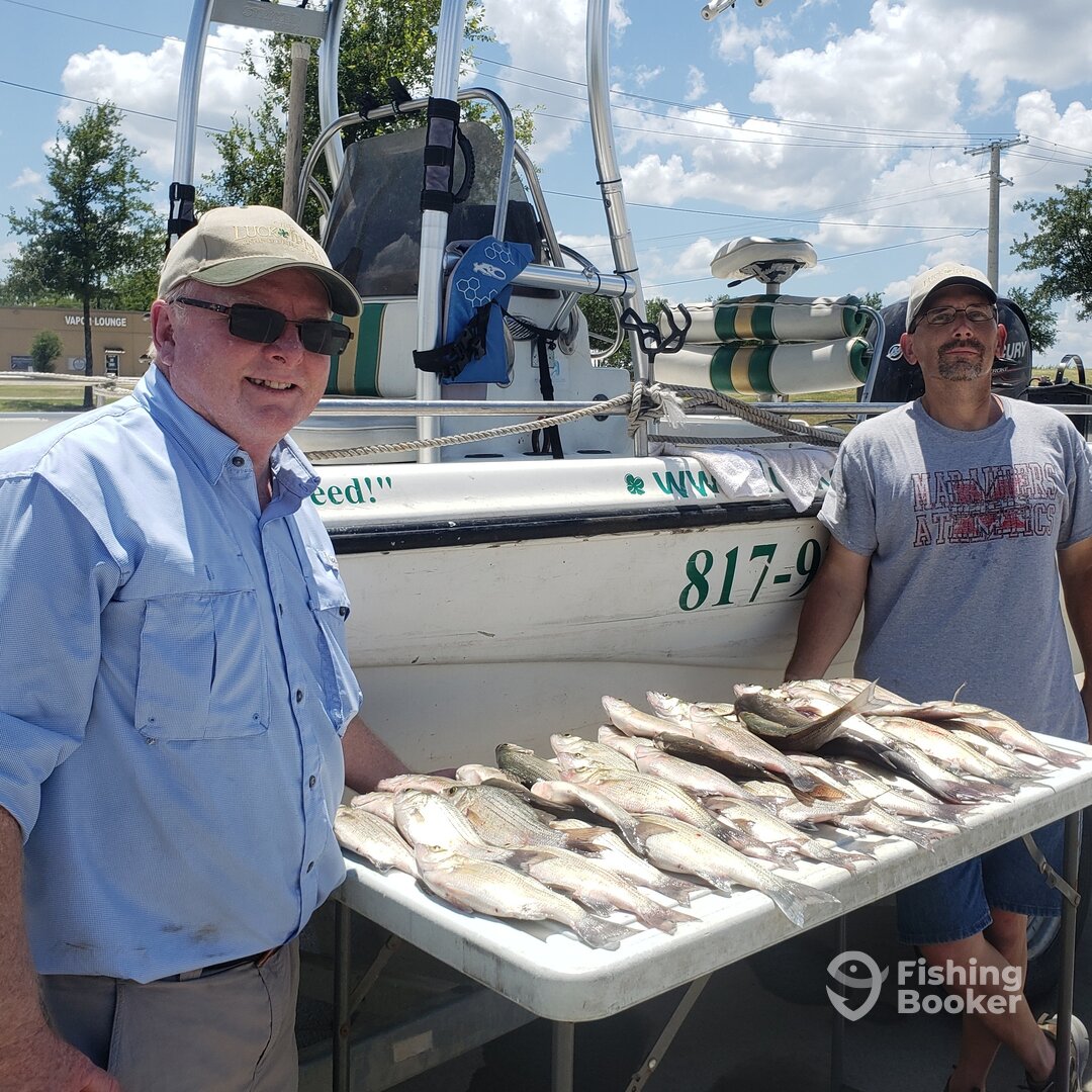 Lewisville Report Photo 0