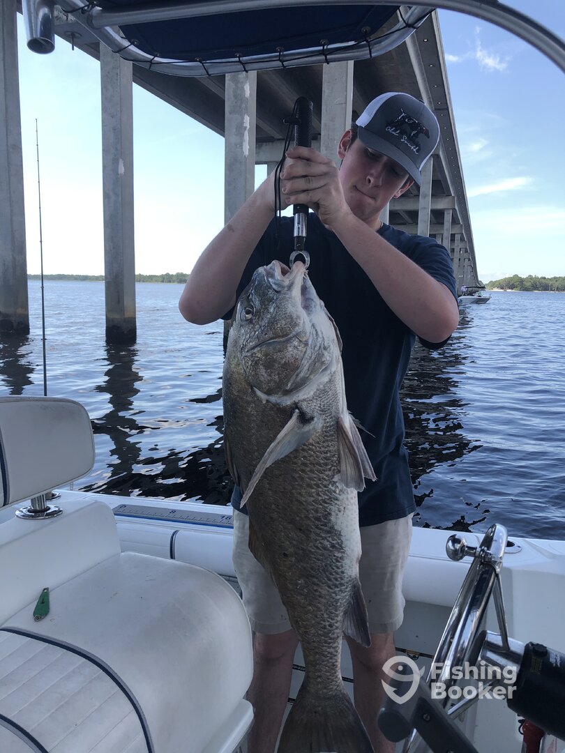 Panacea Report Photo 0