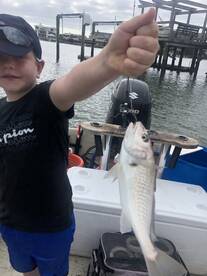 Wrightsville Beach Report Photo 2