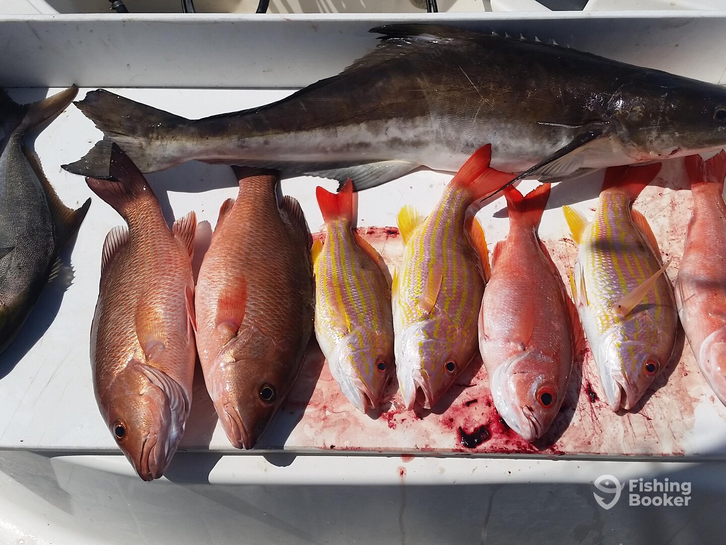 Port Orange Report Photo 0