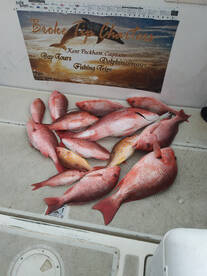 Niceville Report Photo 2
