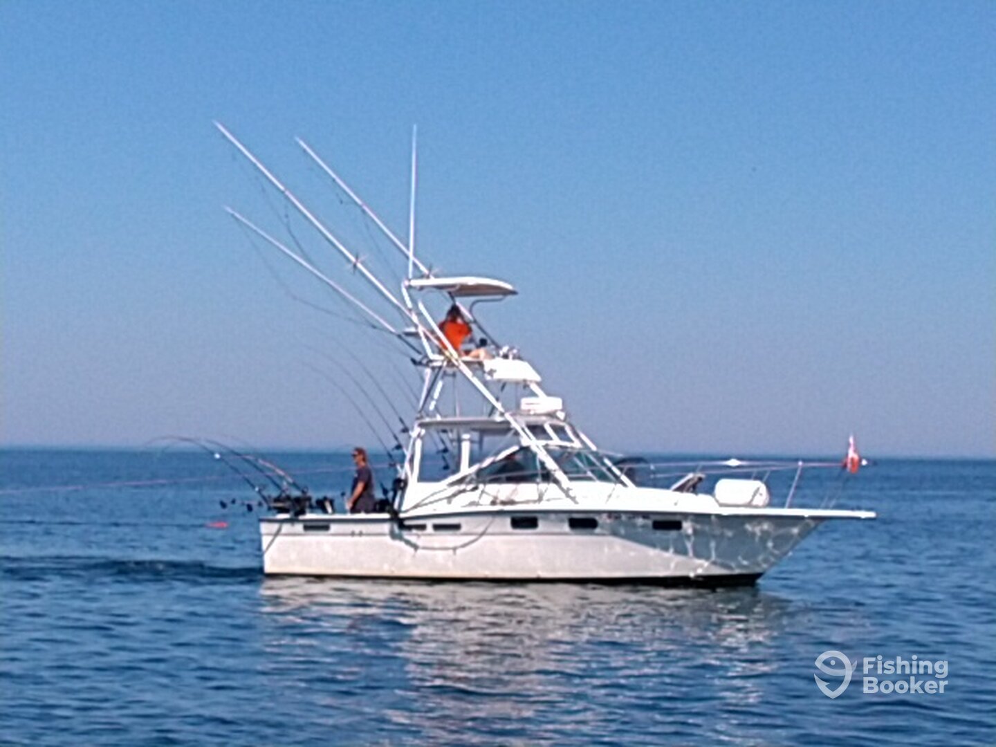 Mexico Report Photo 0