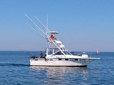 Some of trips from the past week