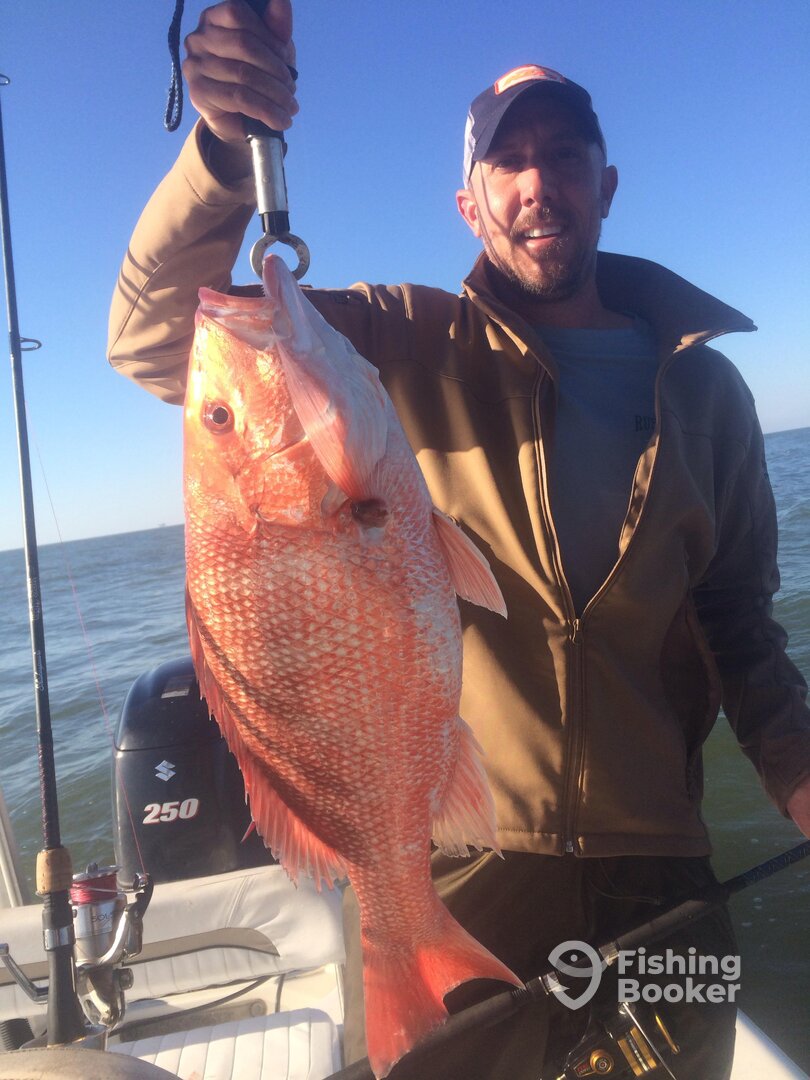 Venice Report Photo 0