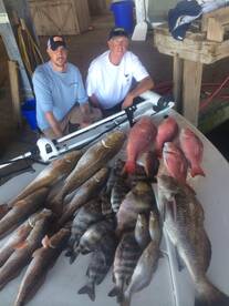 Venice Report Photo 1