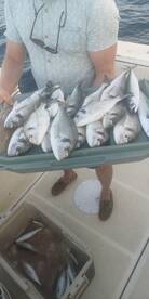 Zadar Report Photo 1