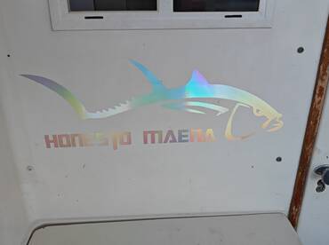 Vip charter Services Speed boat Persuit 