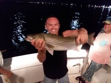 New York City Report Photo 1