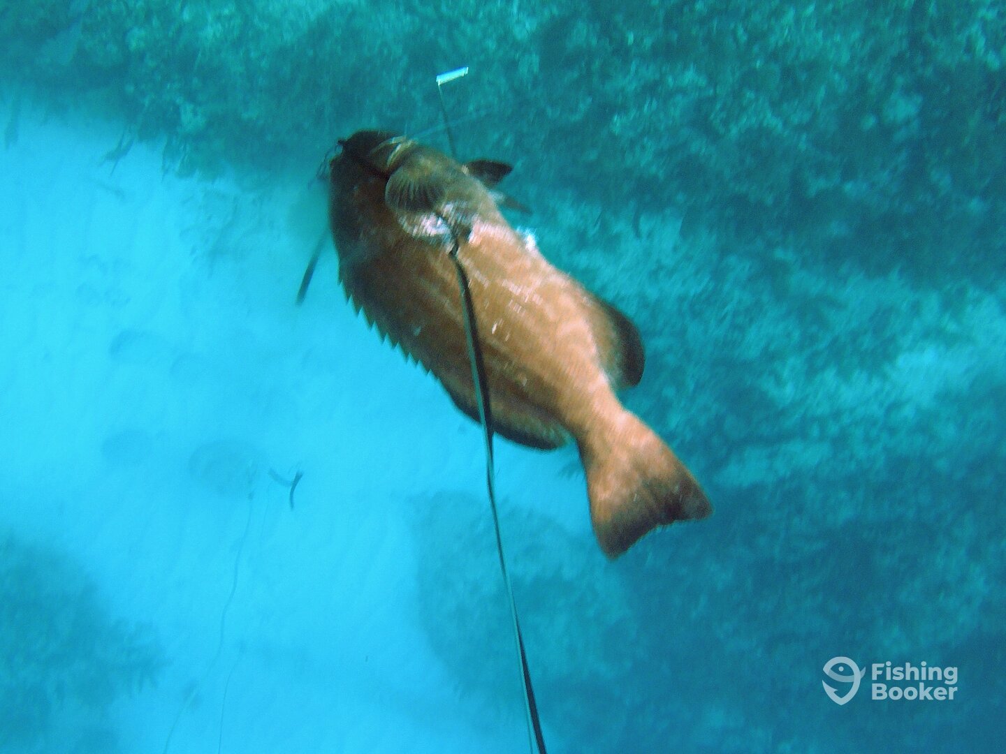 Playa Del Carmen Report Photo 0