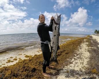 Playa Del Carmen Report Photo 1