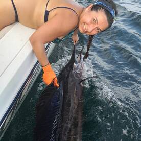 Sailfish Season 