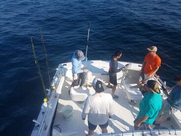 Nags Head Report Photo 2