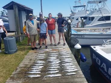 Half day trips. Plenty of action!