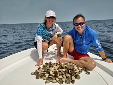 Scallops in Keaton Beach