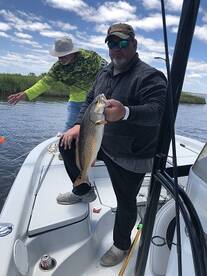 St. Bernard Report Photo 2