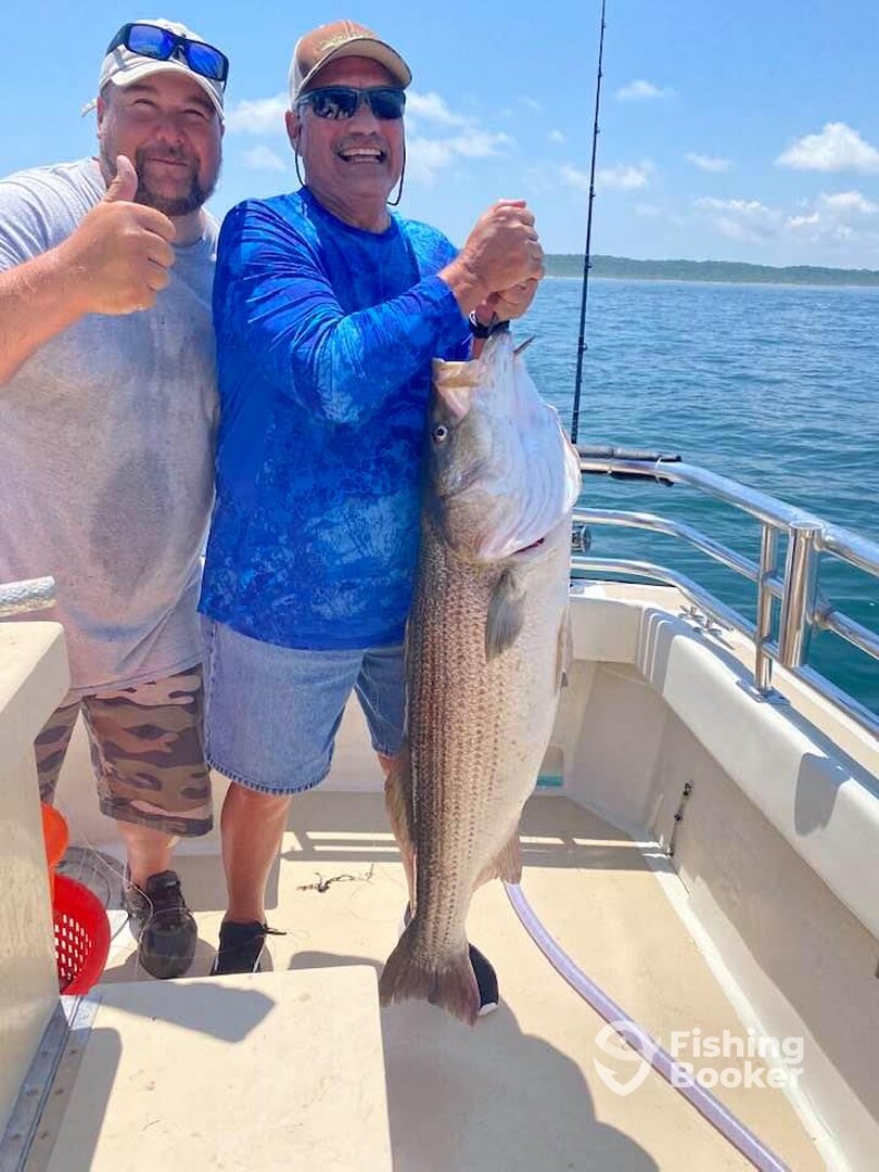 Montauk Report Photo 0