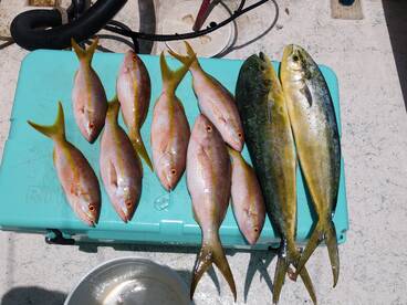 Fort Lauderdale Report Photo 2