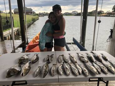 St. Bernard Report Photo 2