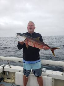 San Diego Report Photo 1