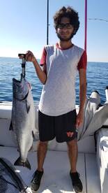 Toronto Report Photo 1