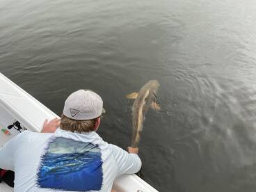 Authenticated, legend of the Choctawhatc