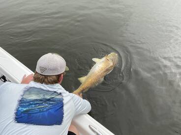 Santa Rosa Beach Report Photo 1