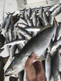 Venice Report Photo 2