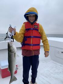 Dennis Report Photo 1