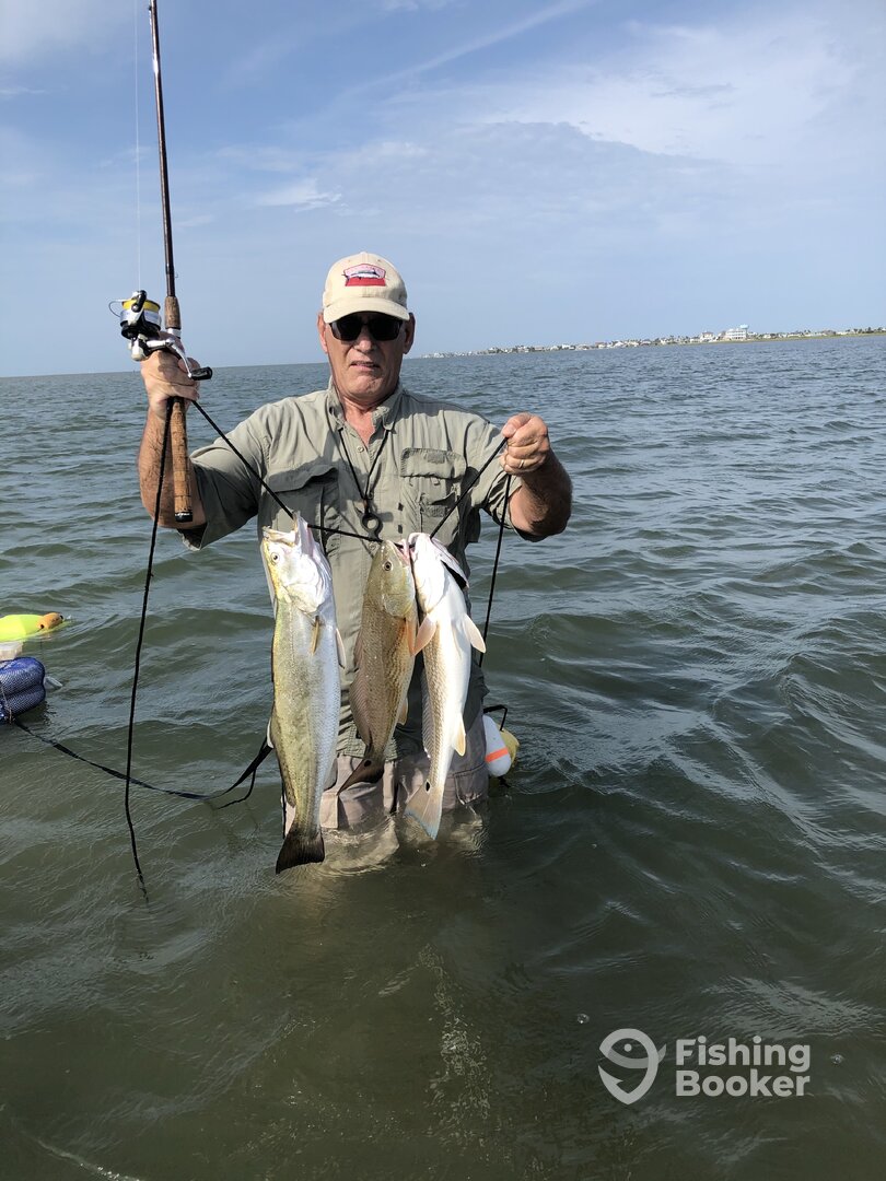 Galveston Report Photo 0