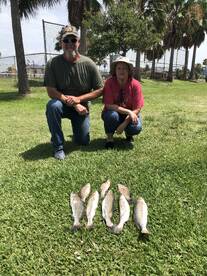 Trout limit and mangrove snapper. 