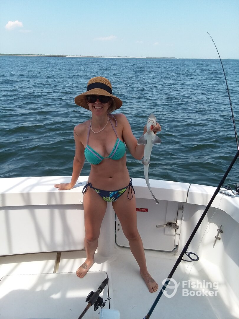 New York City Report Photo 0