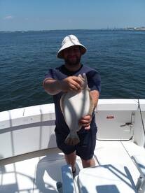 New York City Report Photo 1