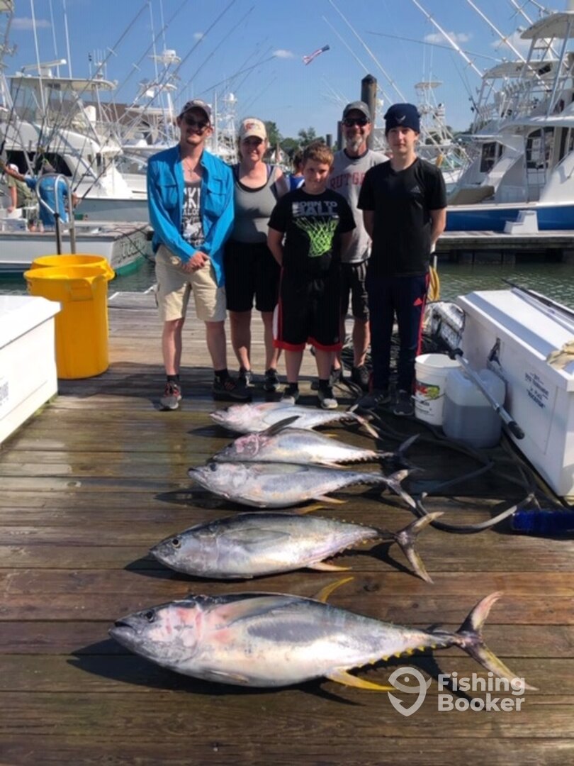 Virginia Beach Report Photo 0