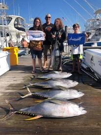 Virginia Beach Report Photo 1