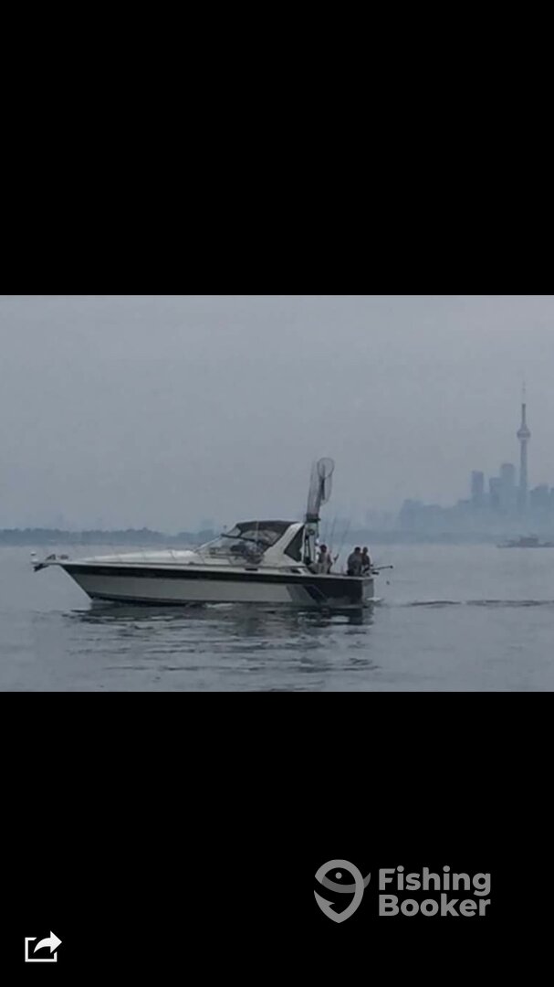 Nanticoke Report Photo 0