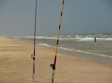 Surf trout and sharks!