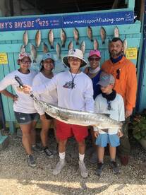 Big Barracudas and a Mangrove Snapper Sp