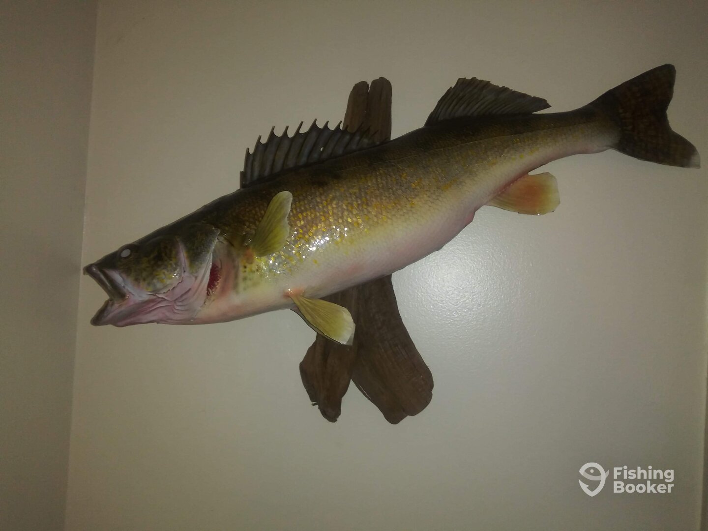 Lakeside Marblehead Report Photo 0