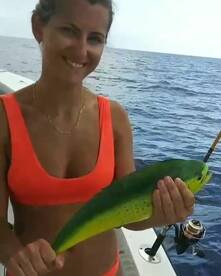 Dolphin / mahi-mahi mahi-mahi season is 