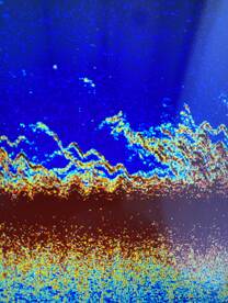 This is happening at the reef RIGHT NOW